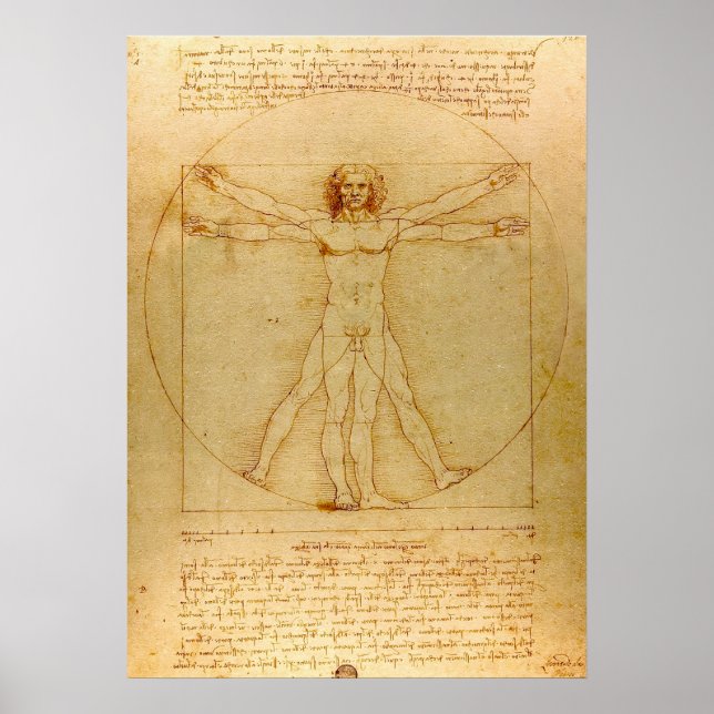 Vitruvian Man by Leonardo da Vinci  Poster (Front)
