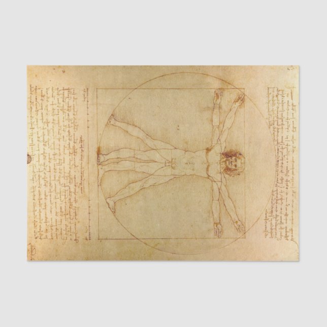 Vitruvian Man by Leonardo Da Vinci Tissue Paper (Front)