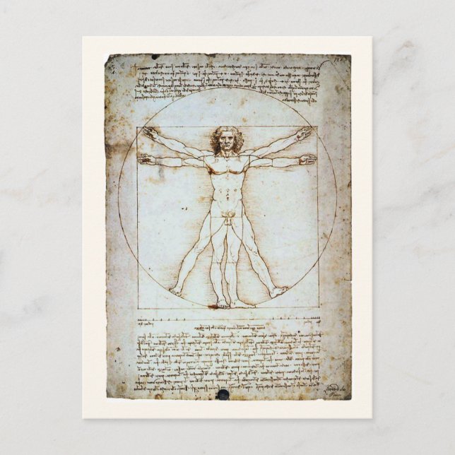 Vitruvian Man, c 1490, Leonardo da Vinci Postcard (Front)