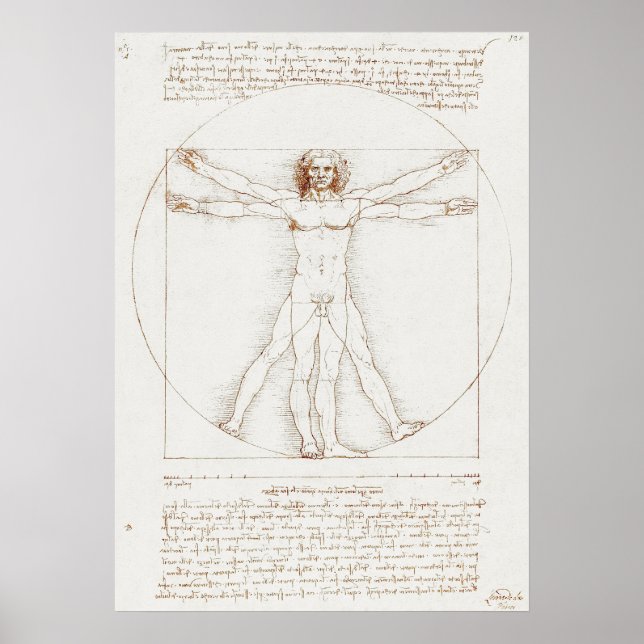 Vitruvian Man Da Vinci Poster (Front)