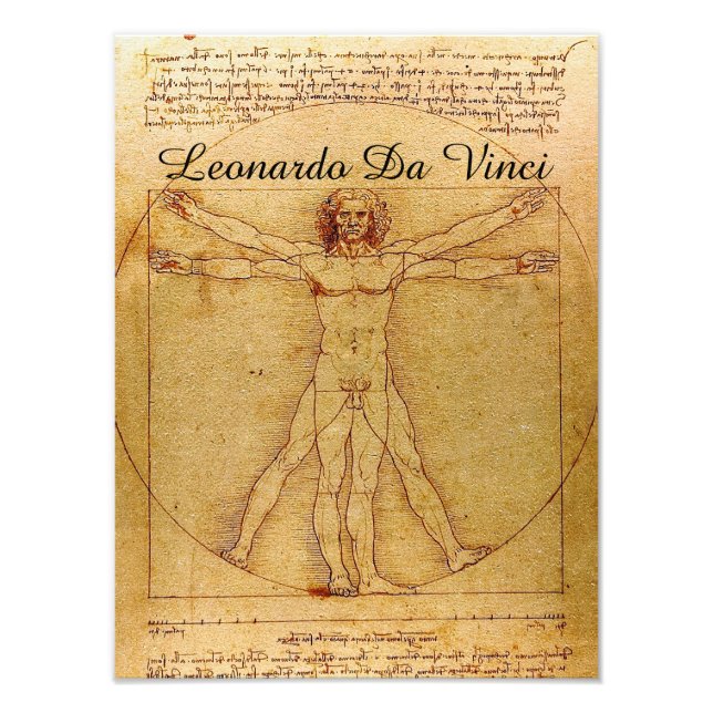 Vitruvian Man-Leonardo Da Vinci Photo Print (Front)