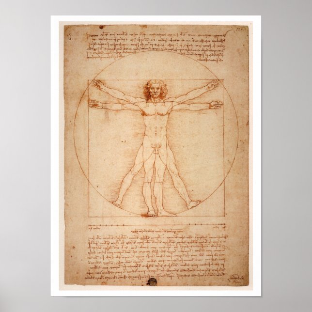 "VITRUVIAN MAN" LEONARDO DA VINCI POSTER (Front)