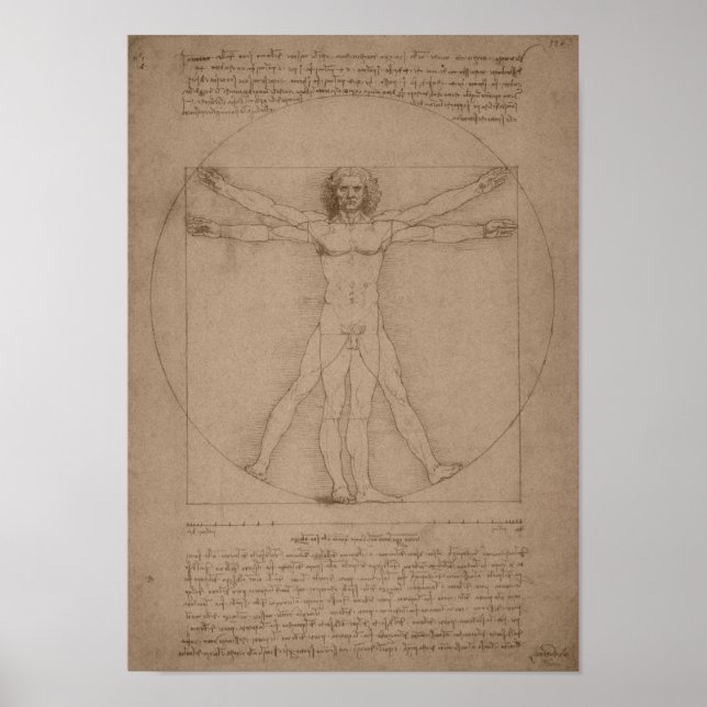Vitruvian Man -- Leonardo da Vinci Poster (Front)