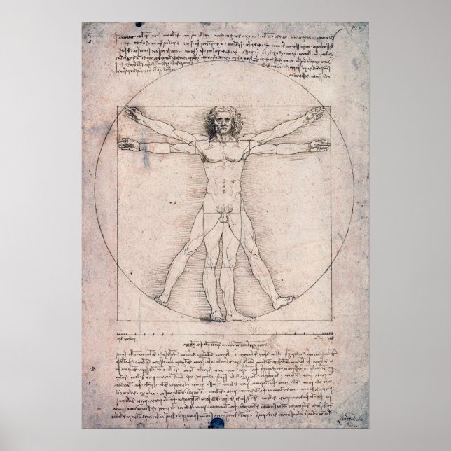 Vitruvian Man, Leonardo da Vinci Poster (Front)