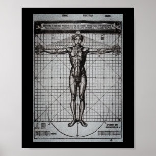 Vitruvian Man (Vitruvius: De architectura) Poster