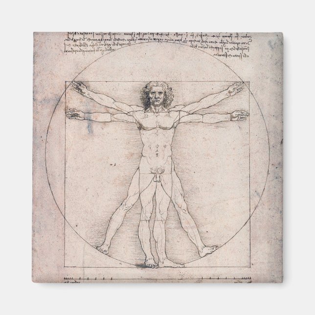 Vitruvian ManVitruvian Man, Leonardo da Vinci Magnet (Front)