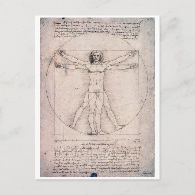 Vitruvian ManVitruvian Man, Leonardo da Vinci Postcard (Front)
