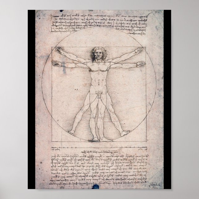 Vitruvian ManVitruvian Man, Leonardo da Vinci Poster (Front)