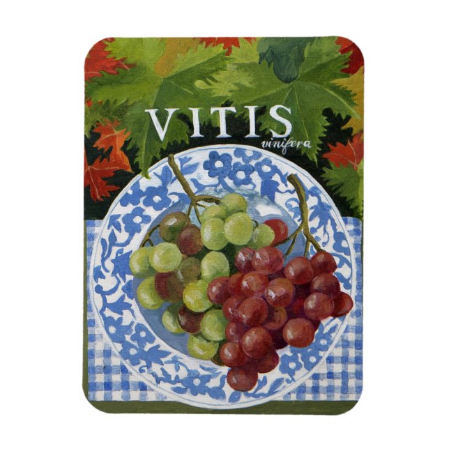 Vitus Magnet (Vertical)