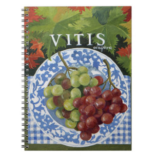 Vitus Notebook