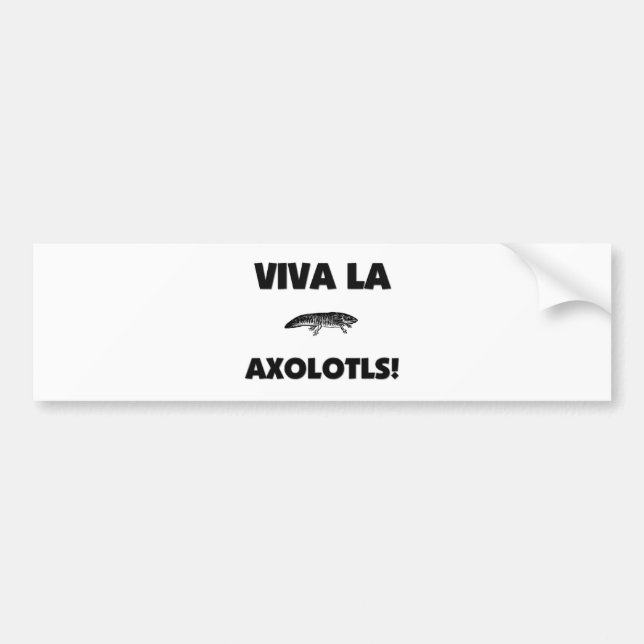 Viva La Axolotls Bumper Sticker (Front)