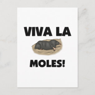 Viva La Moles Postcard