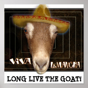 VIVA LAMANCHA, LONG LIVE THE GOAT! POSTER