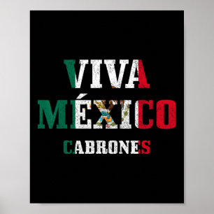 Viva Mexico Cabrones Funny Cinco De Mayo Mexican F Poster