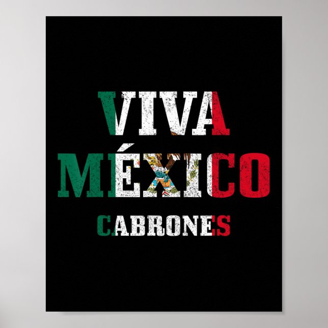 Viva Mexico Cabrones Funny Cinco De Mayo Mexican F Poster (Front)