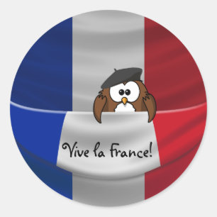 Vive la France! Classic Round Sticker