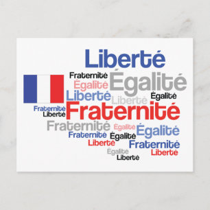 Vive La France French Flag Francophile's Postcard