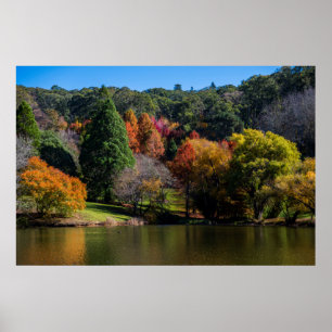 Vivid Autumn Colours Landscape Trees Poster