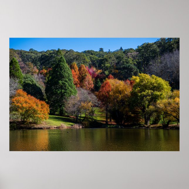 Vivid Autumn Colours Landscape Trees Poster (Front)