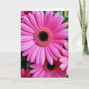 Vivid Bloom Mothers Day Card