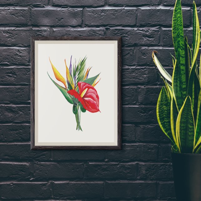Vivid blooms of Red Anthurium Birds Of Paradise Poster (Creator Uploaded)