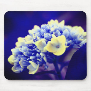 Vivid Blue Hydrangea Flower Mouse Pad