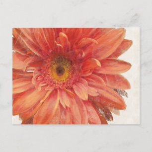 Vivid Daisy Postcard
