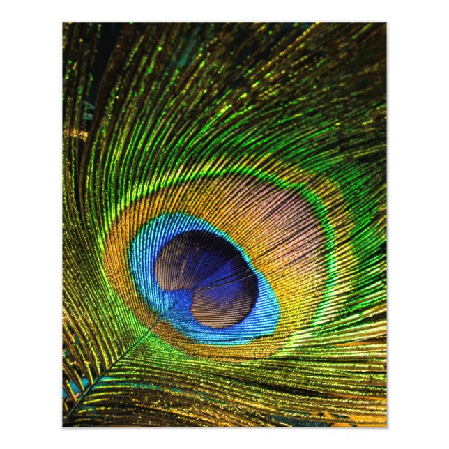 Vivid Feather Photo Print (Front)