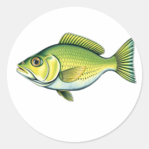 Vivid Green Fish with Wave Patterns Classic Round Sticker
