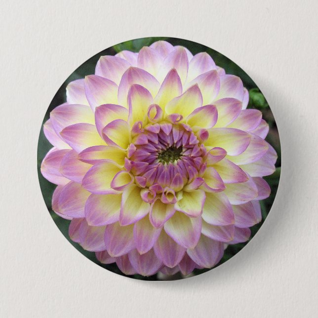 Vivid Lavender Creme Dahlia 7.5 Cm Round Badge (Front)