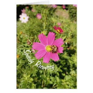 Vivid Pink Cosmos Flower Speedy Recovery Card