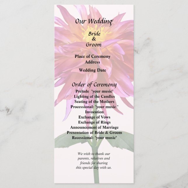 Vivid Pink Dahlia Program (Front)