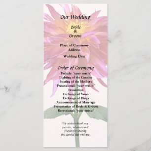 Vivid Pink Dahlia Program