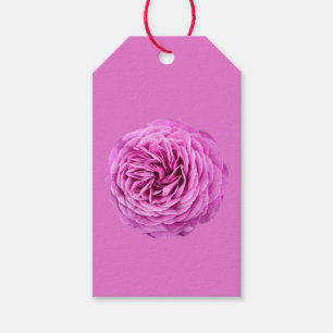 Vivid Pink Rose Cutout Gift Tags