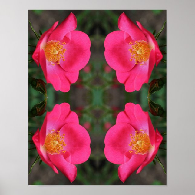 Vivid Pink Rose Petals Abstract Floral Art Poster (Front)