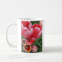 vivid pink tulip flowers photo - tea coffee mug