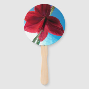 Vivid red Amaryllis flower against a blue wall Hand Fan