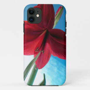 Vivid red Amaryllis Flower iPhone 11 Case