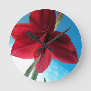 Vivid red Amaryllis Flower Round Clock