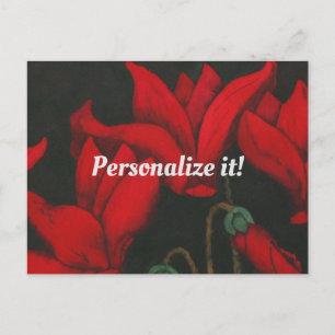Vivid red Cyclamen on a dark black background Holiday Postcard
