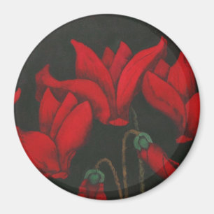 Vivid red Cyclamen on a dark black background Magnet