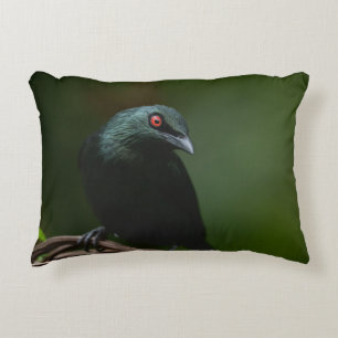 Vivid Red Eyes of the Asian Glossy Starling Decorative Cushion