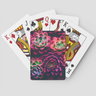 Vivid Succulents Playing Cards