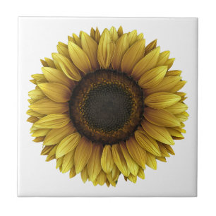 Vivid Sunflower Botanical Art Design Ceramic Tile