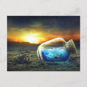 Vivid Sunset Beach Crab/Sea Life in Bottle Surreal Postcard