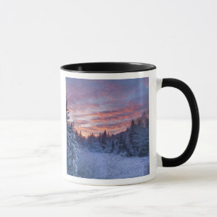 Vivid sunset paints the sky above wintery mug