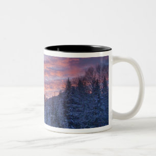Vivid sunset paints the sky above wintery Two-Tone coffee mug