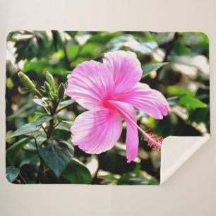 Vivid Tropical Pink Hibiscus Sherpa Blanket