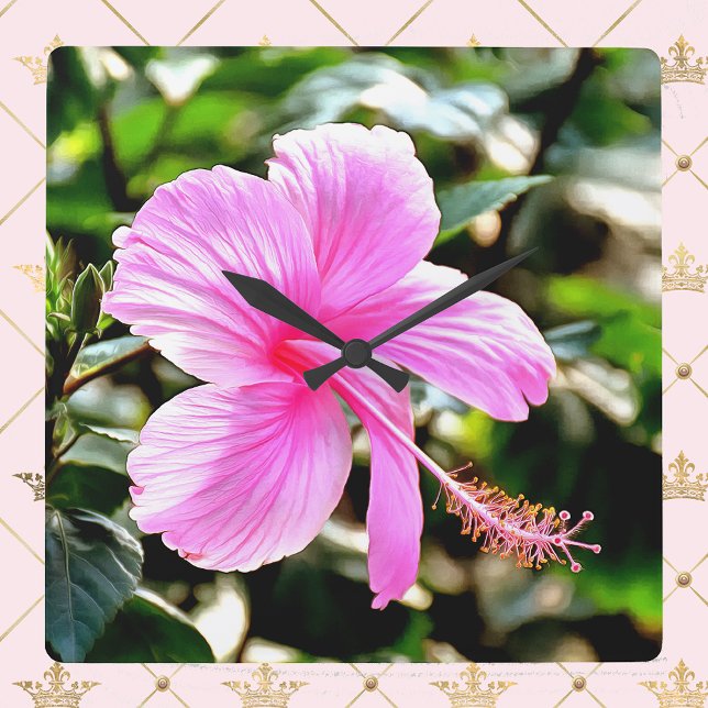 Vivid Tropical Pink Hibiscus Square Wall Clock (Creator Uploaded)