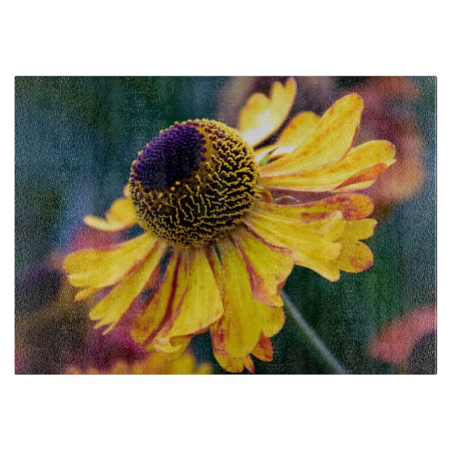 Vivid Yellow Helenium with Purple Centre Cutting Board (Front)
